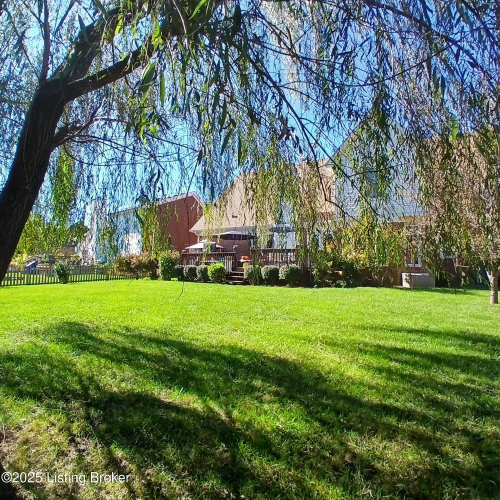 Listing Image 55