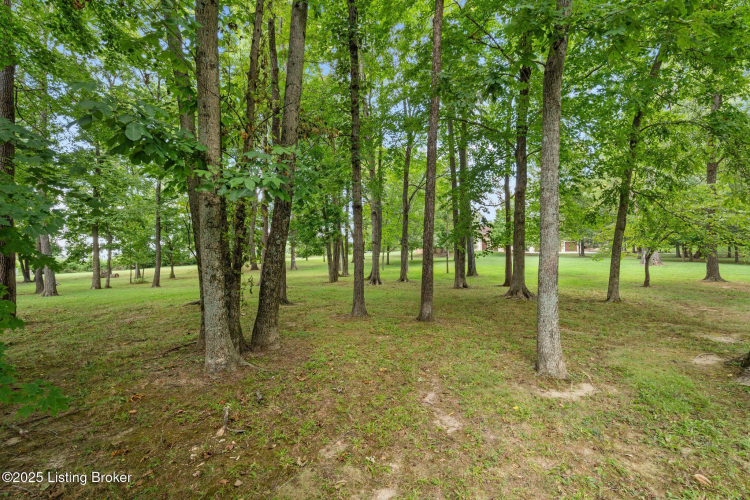 Listing Image 108