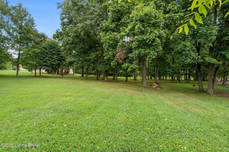 Listing Image 109