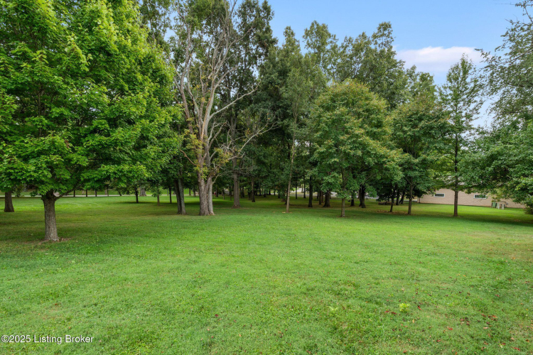 Listing Image 110