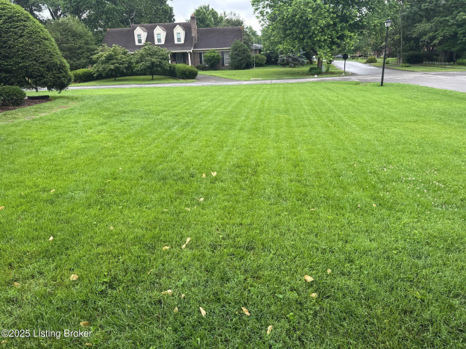 Listing Image 50