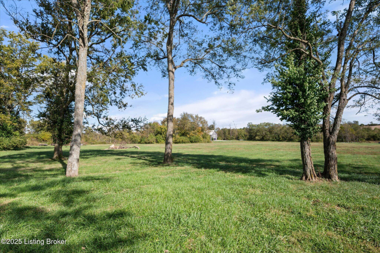 Listing Image 83