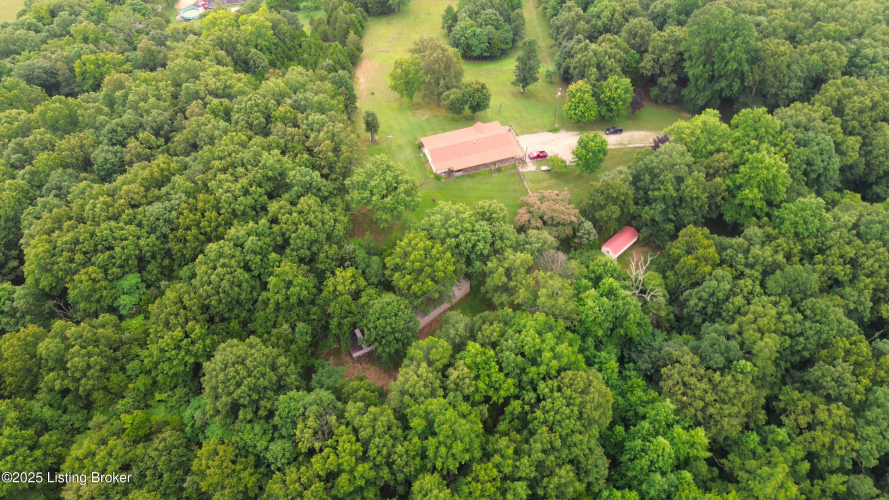 Listing Image 101