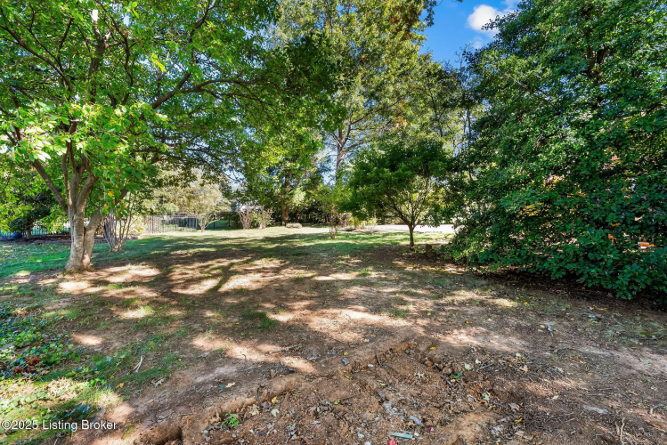 Listing Image 48