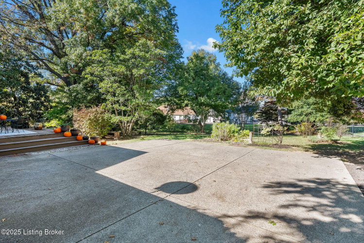 Listing Image 50