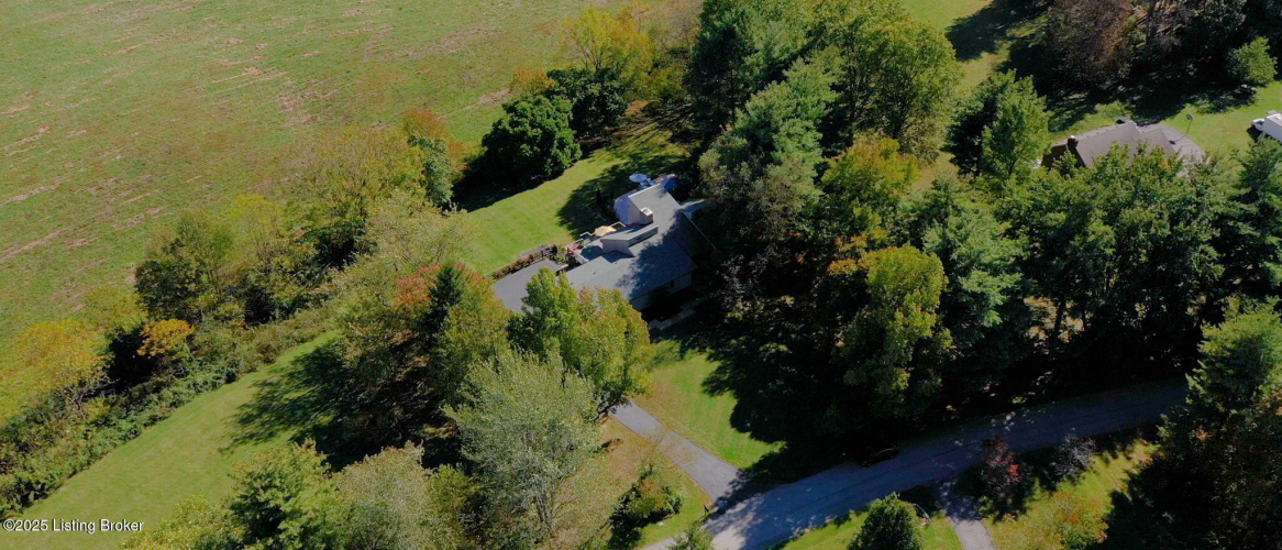 Listing Image 59
