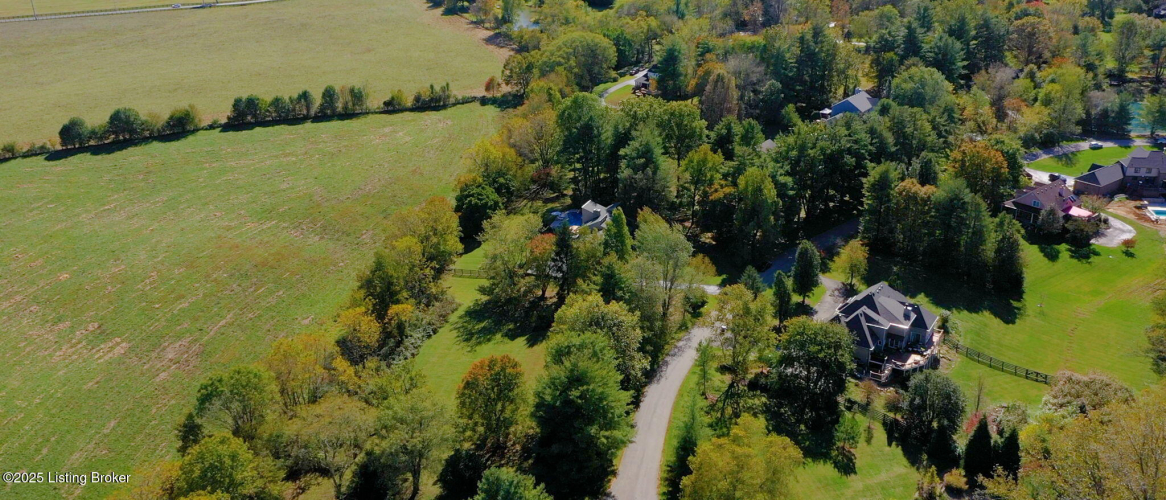 Listing Image 62