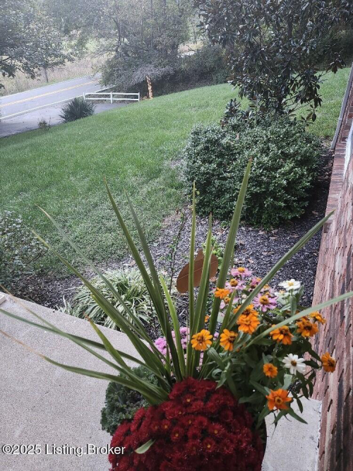 Listing Image 36