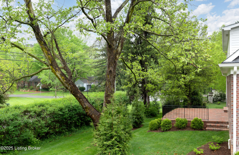 Listing Image 42