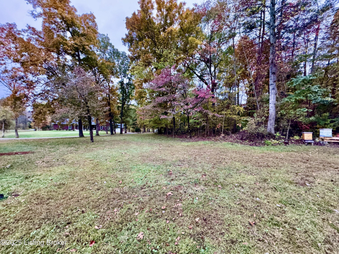 Listing Image 90