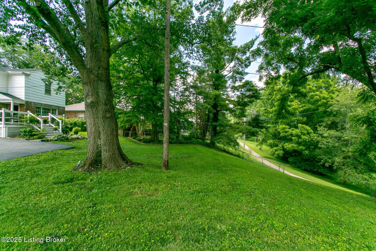 Listing Image 54