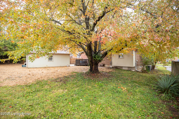 Listing Image 28