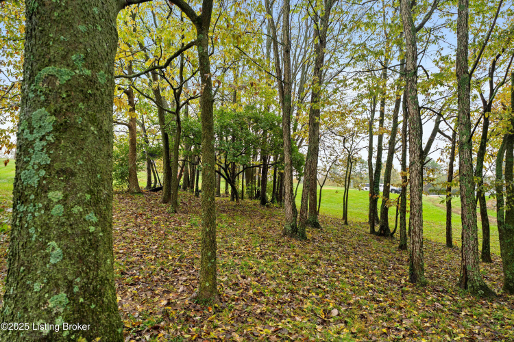 Listing Image 37