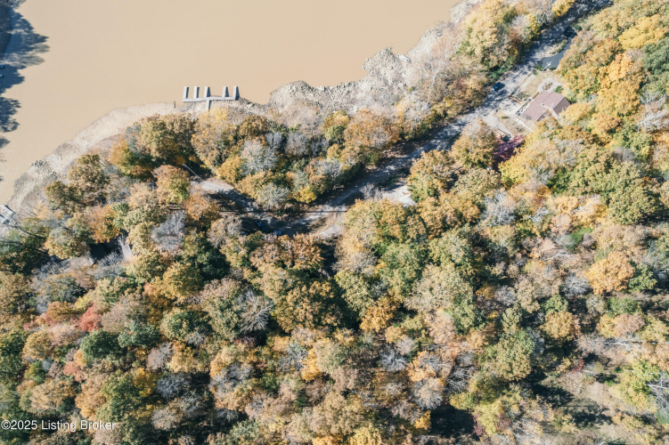 Listing Image 64