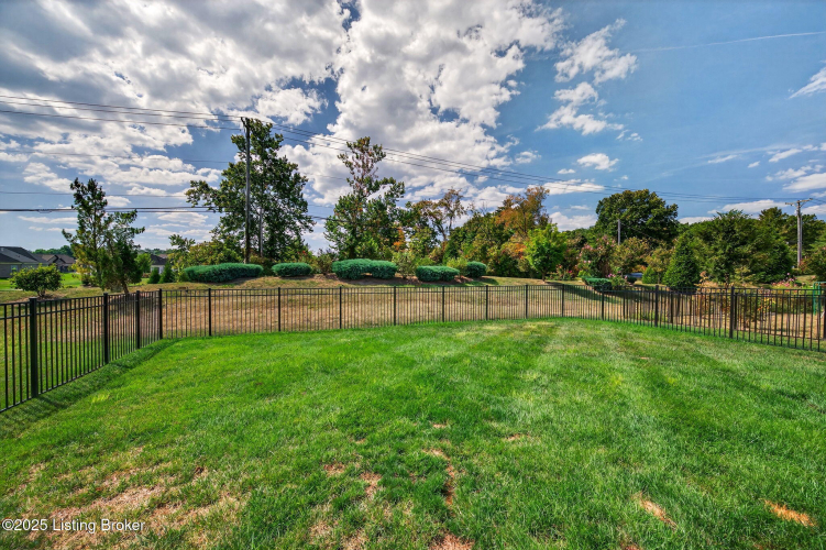 Listing Image 54