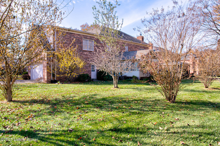 Listing Image 50