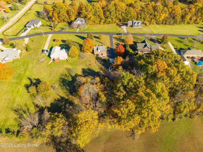 Listing Image 49