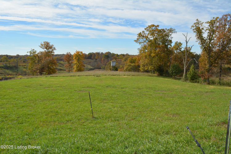 Listing Image 49