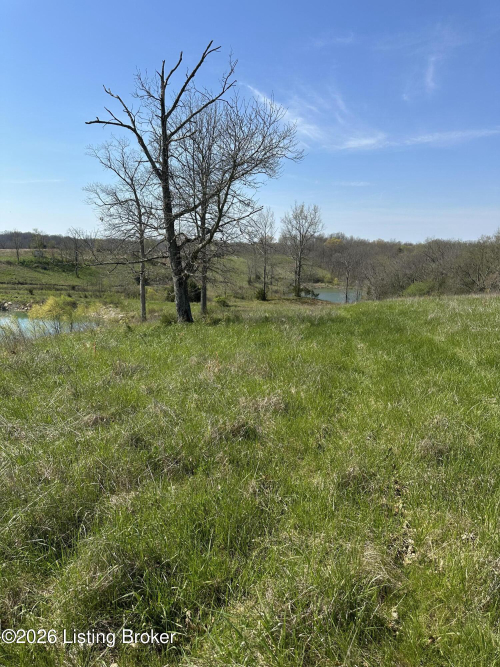 Listing Image 56