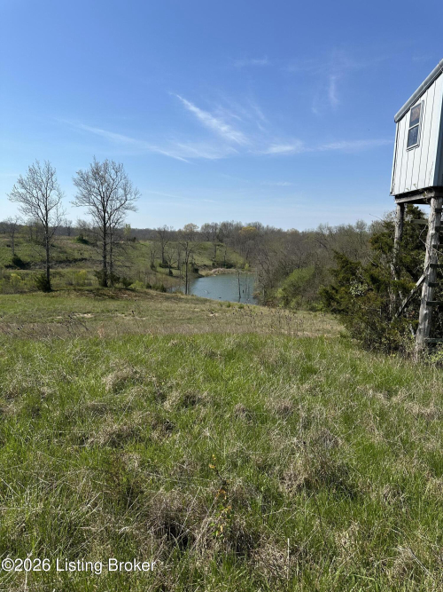 Listing Image 61