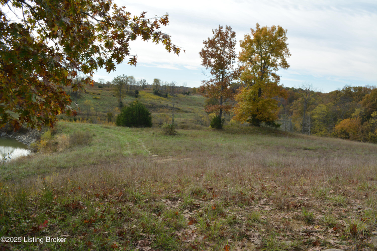 Listing Image 35