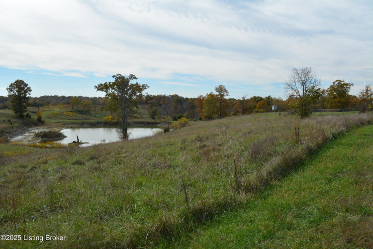 Listing Image 40