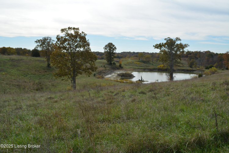 Listing Image 41