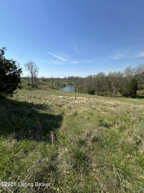 Listing Image 57