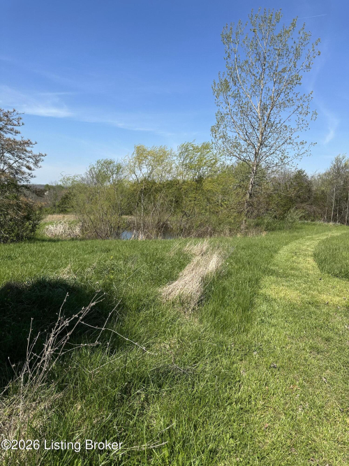 Listing Image 61