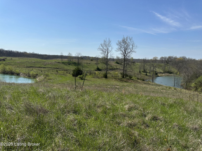 Listing Image 70