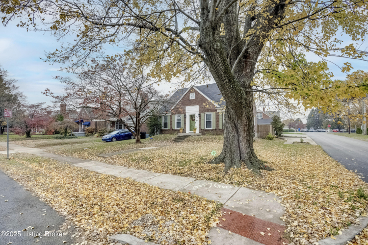 Listing Image 51