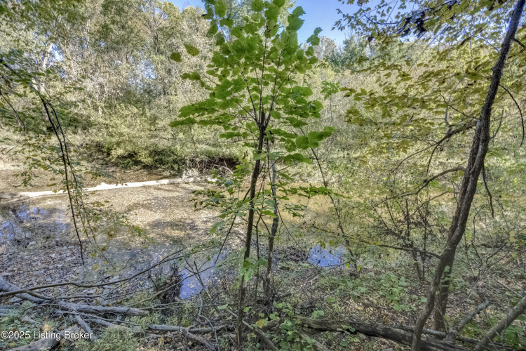 Listing Image 62