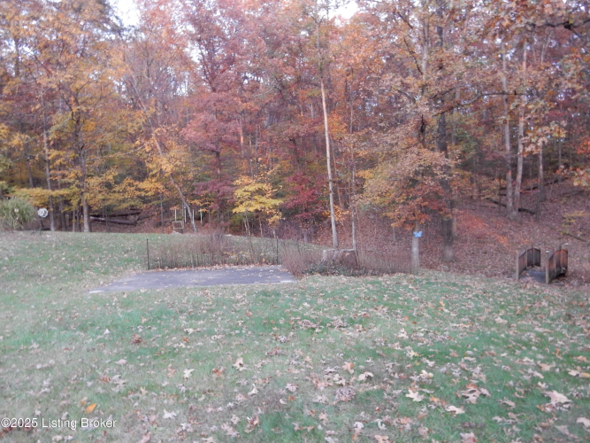 Listing Image 49