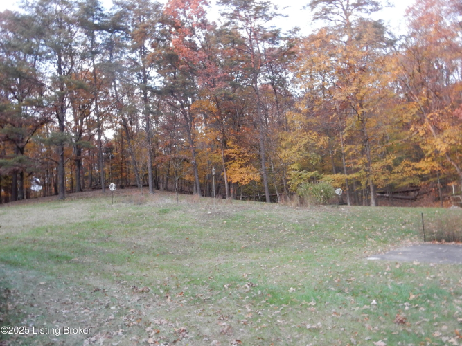 Listing Image 50