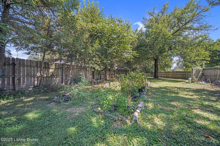 Listing Image 50