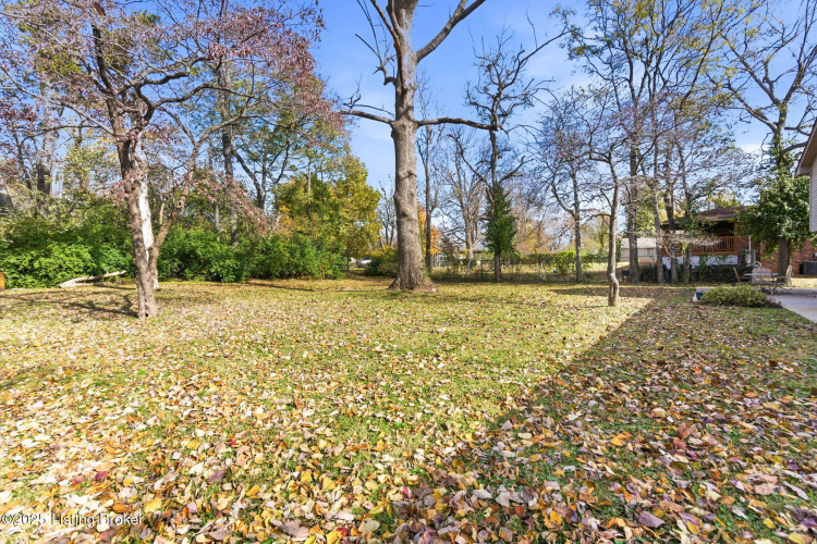 Listing Image 51