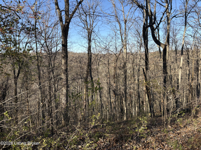 Listing Image 25