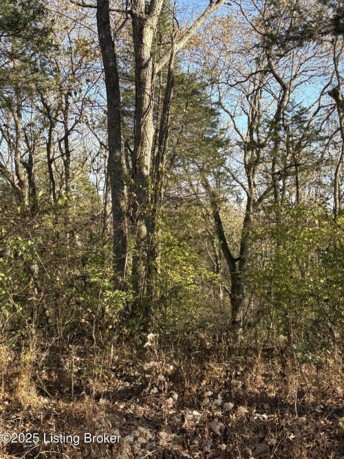 Listing Image 29