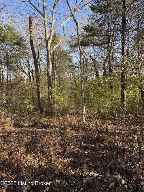 Listing Image 30