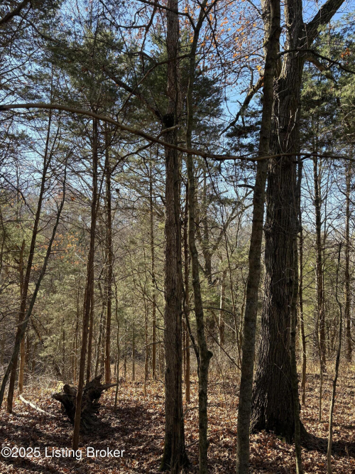 Listing Image 32