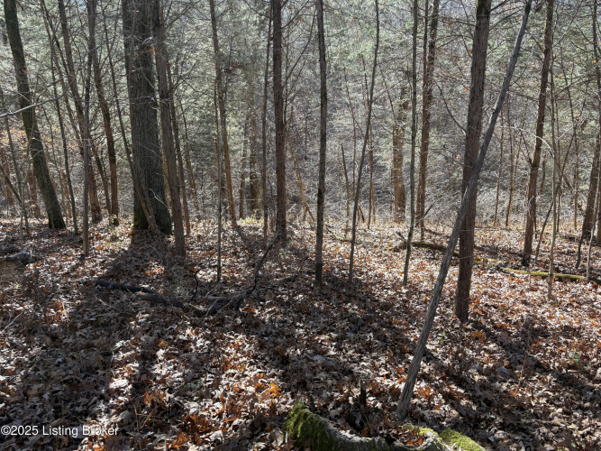 Listing Image 33