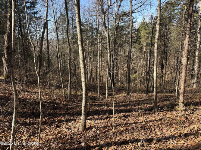 Listing Image 37