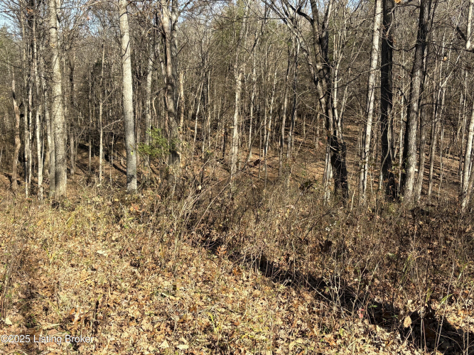 Listing Image 38