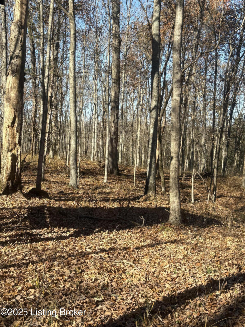 Listing Image 39