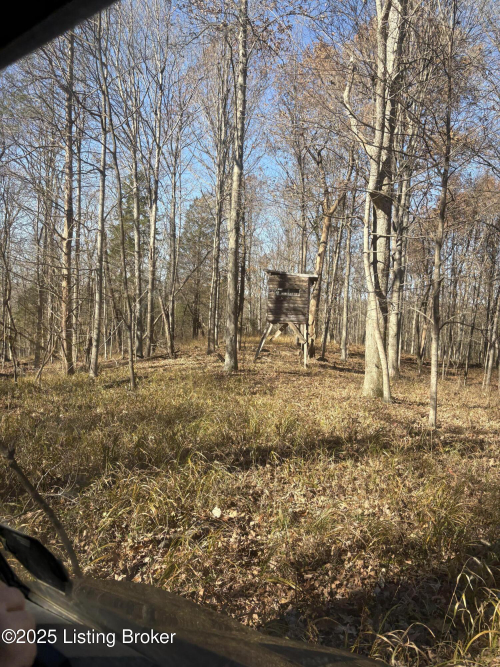Listing Image 41