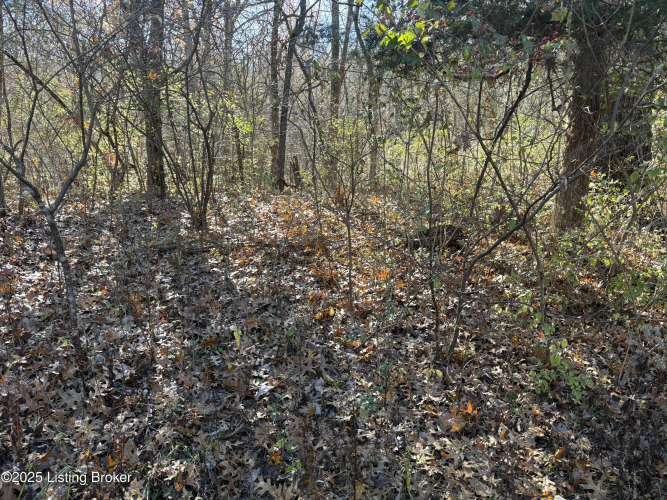 Listing Image 42