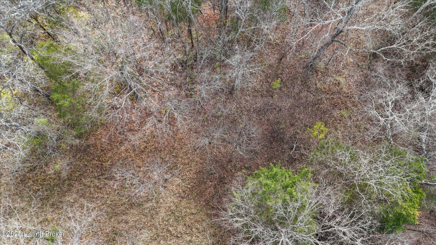 Listing Image 49
