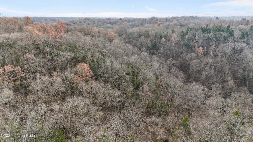Listing Image 50
