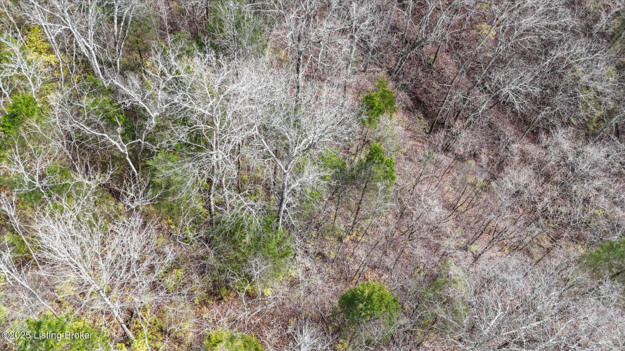 Listing Image 51