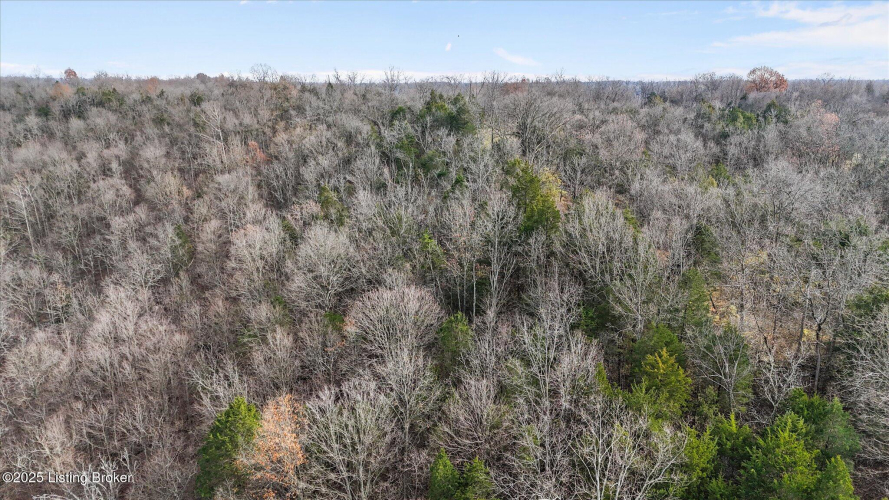 Listing Image 53